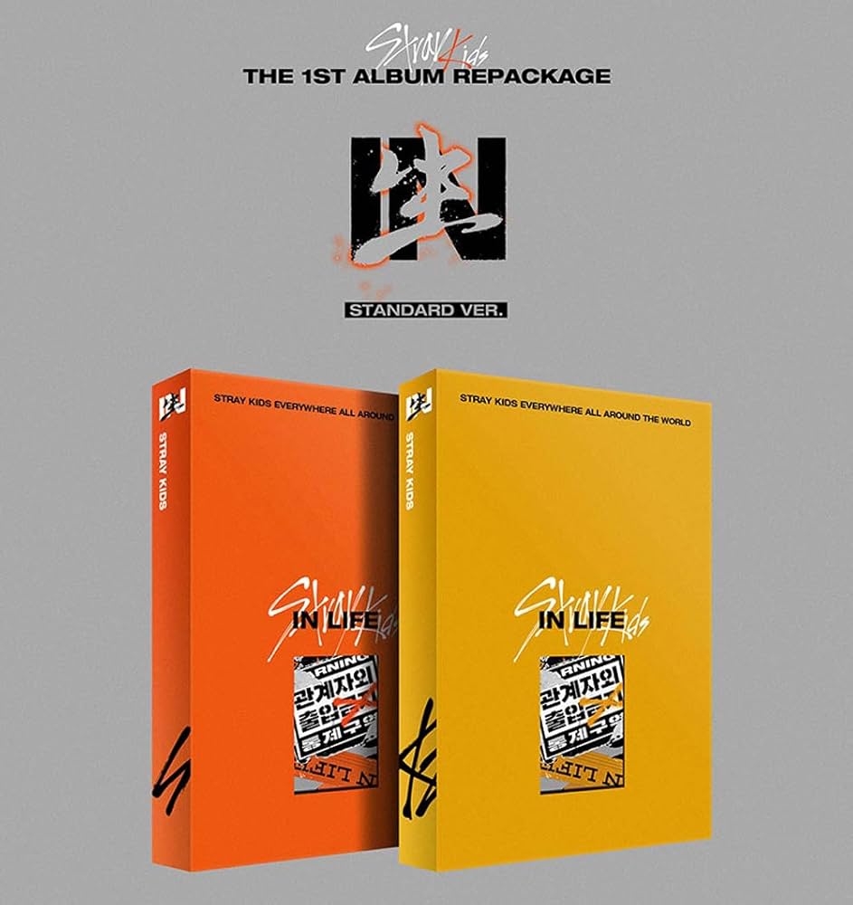 STRAY KIDS in Life Standard Version (B Type) IN生 The 1st